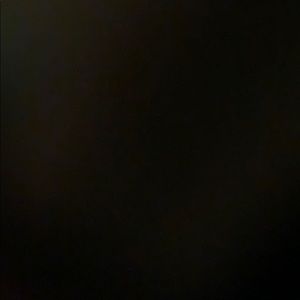 Meet your Posher, Dillon